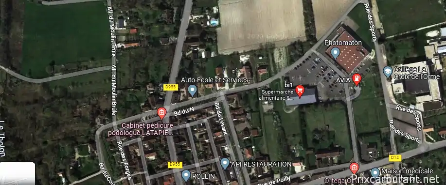 Bi1 Aillant/Tholon