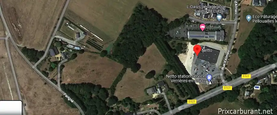 Netto