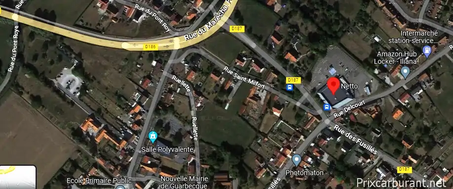 Netto Guarbecque